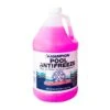 Champion - Pool Antifreeze, 4 Gallons -Swimline Store Pool Antifreeze 1