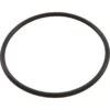 All Seals - Replacement Lid O-Ring For Pentair Whisperflo, Challenger, IntelliFlo -Swimline Store Replacement Lid O Ring for Pentair Whisperflo Challenger IntelliFlo